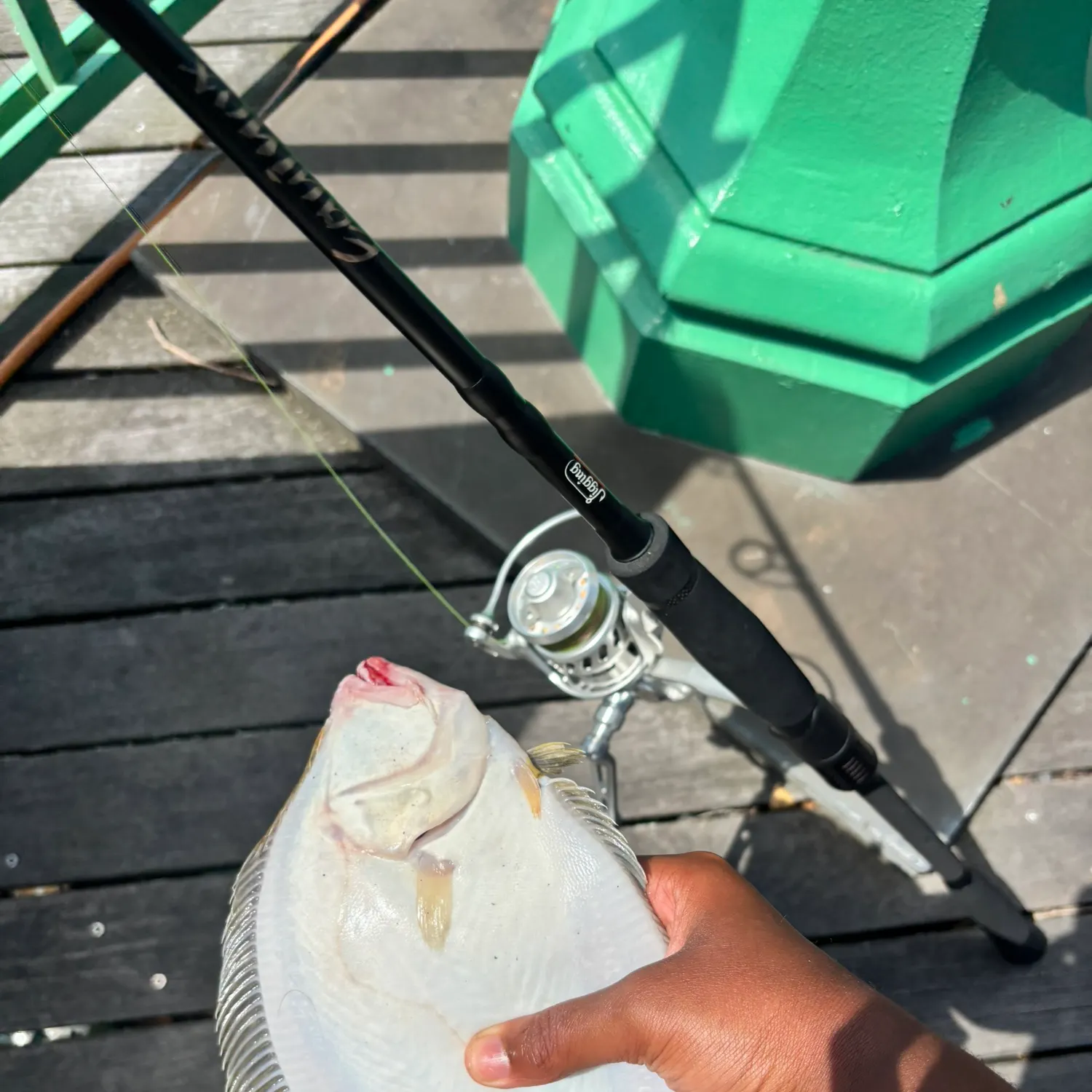 Summer flounder caught on Fishbrain
