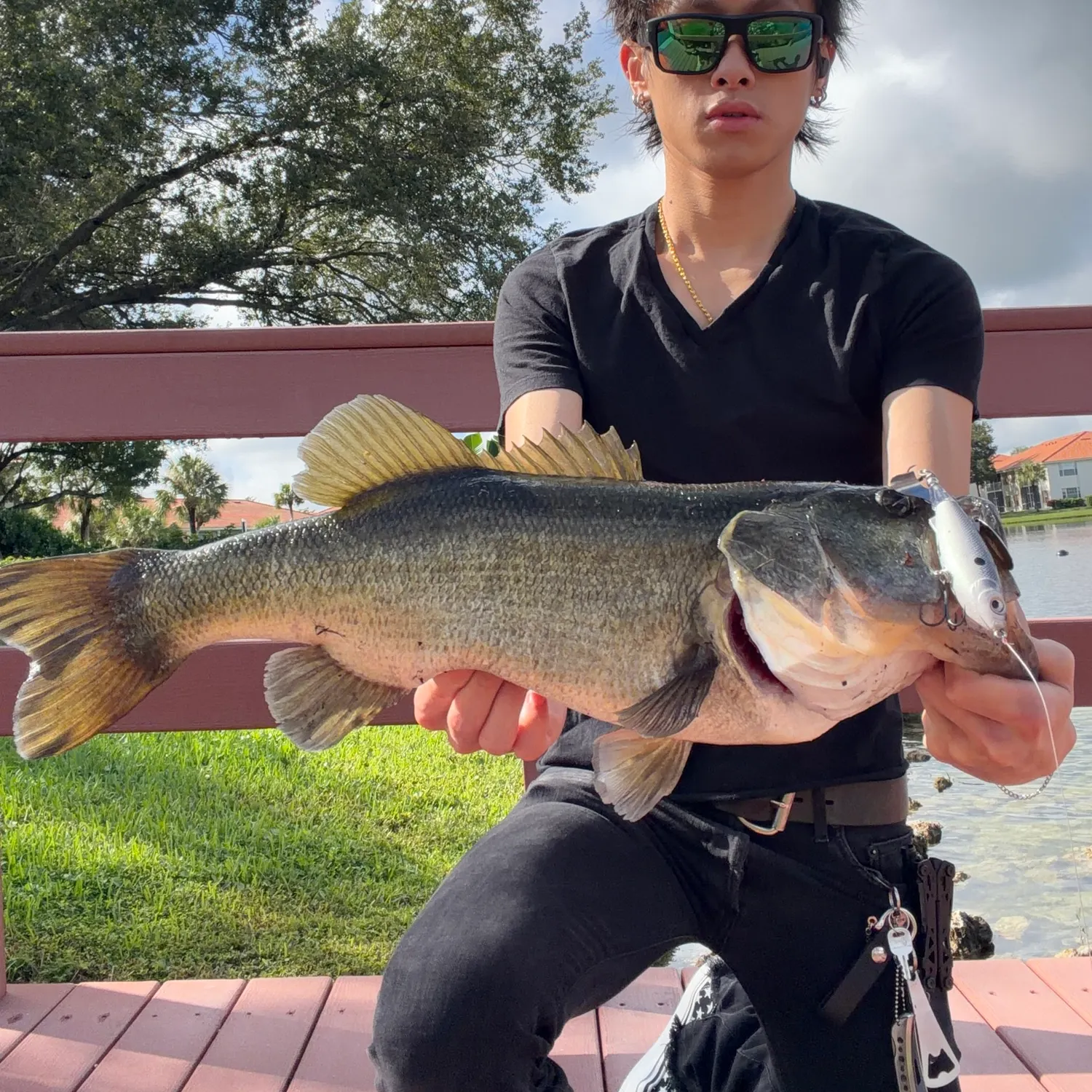 Largemouth bass caught on Fishbrain