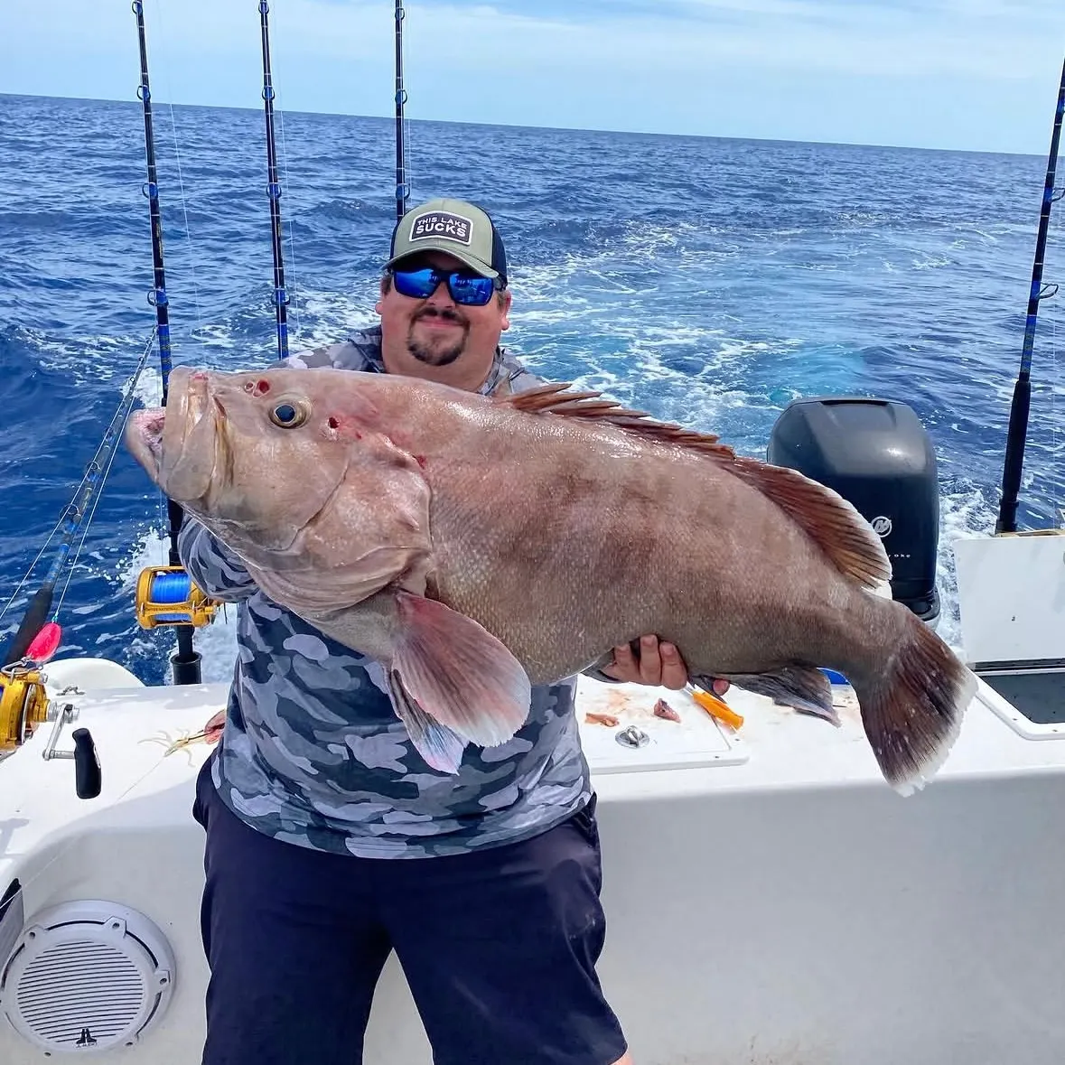 The most recent Misty grouper catches on Fishbrain