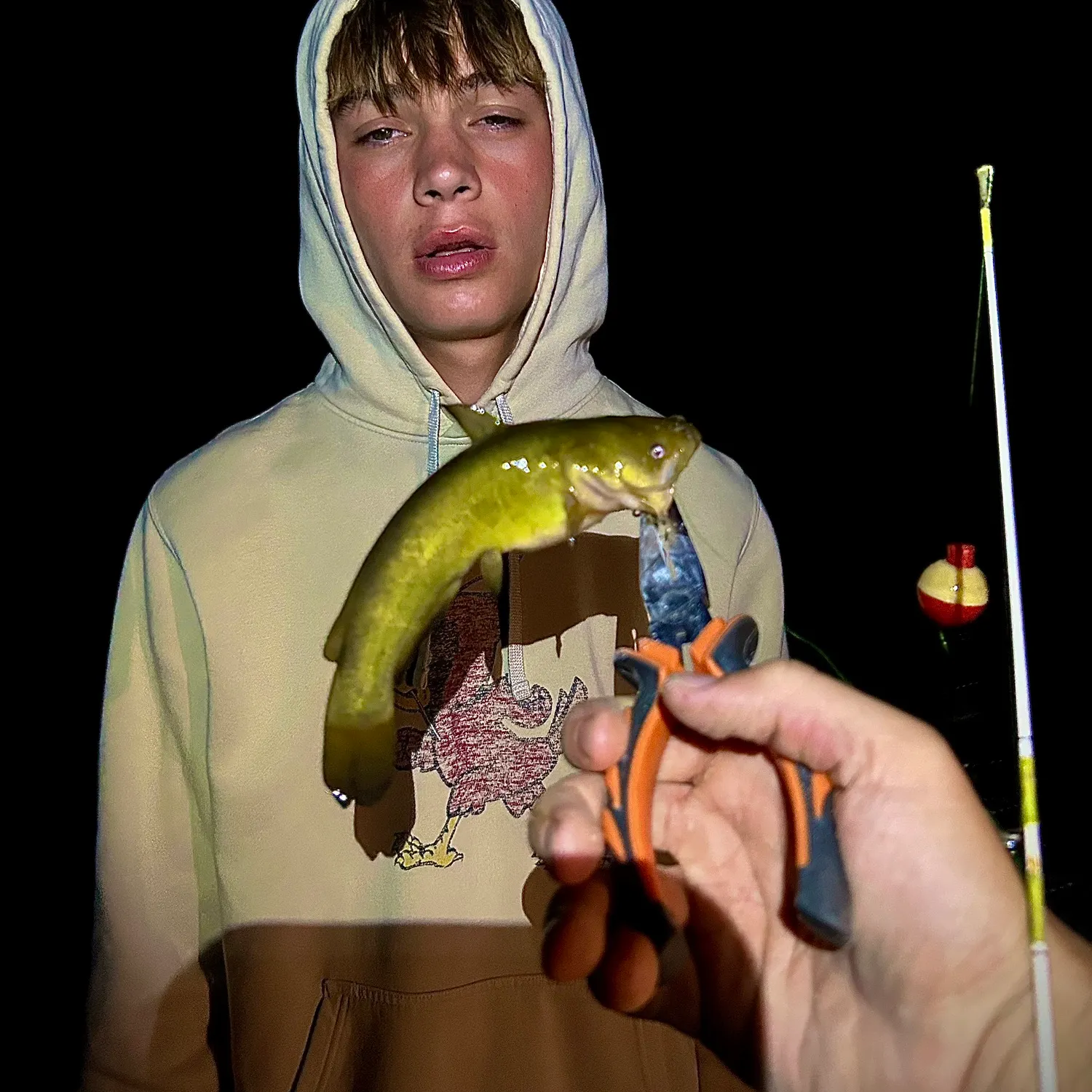 Yellow bullhead caught on Fishbrain