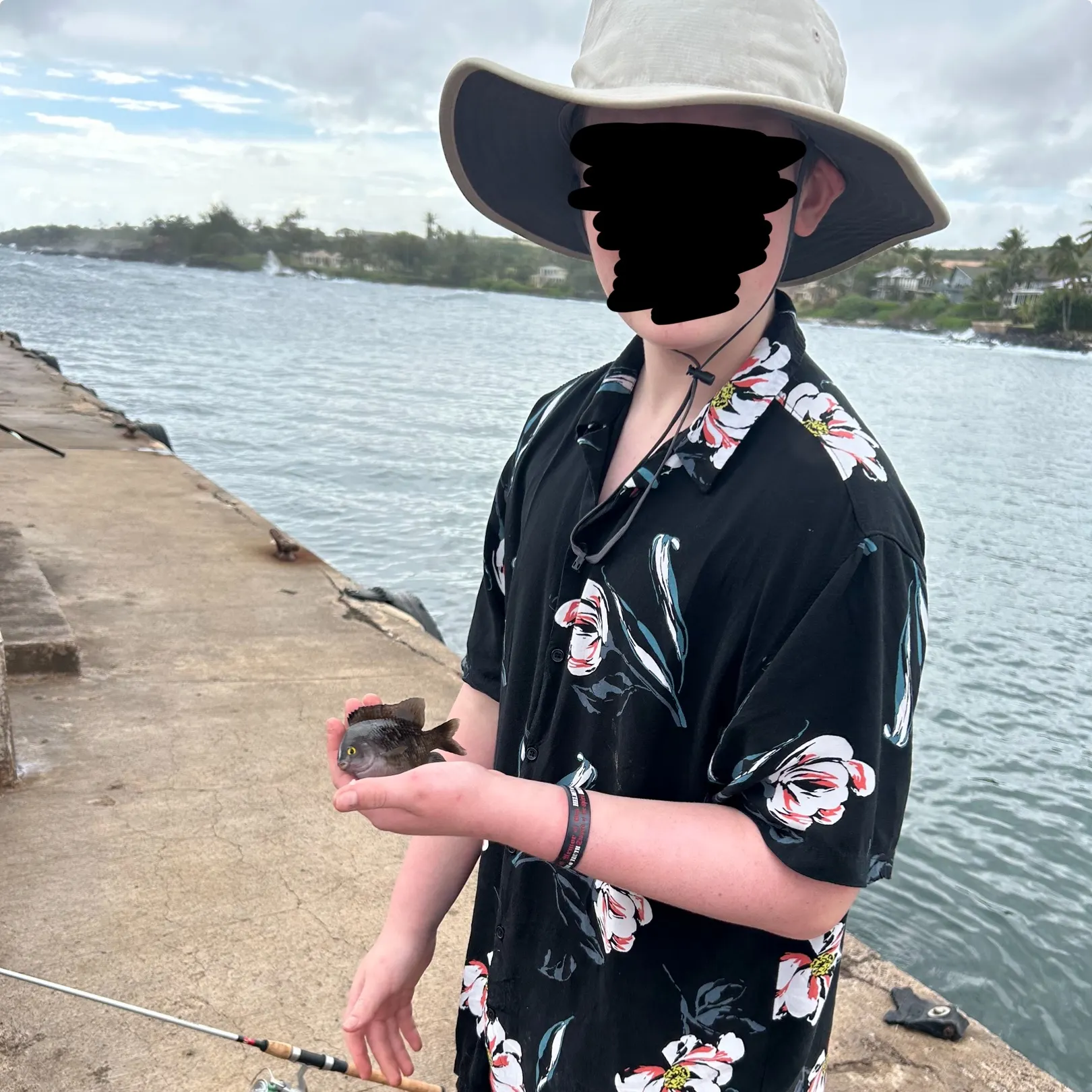 The most recent Hawaiian gregory catches on Fishbrain