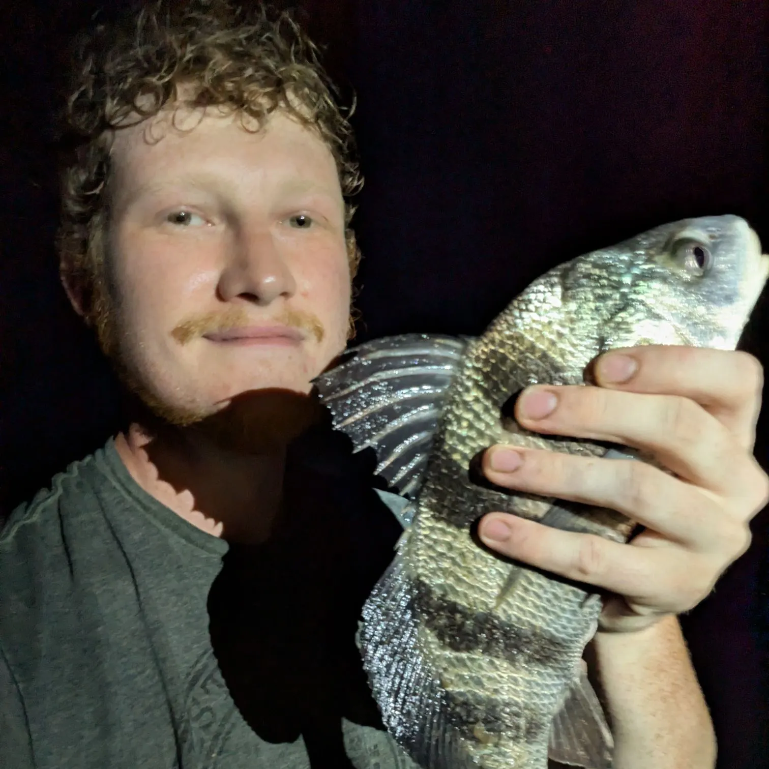 Black drum caught on Fishbrain