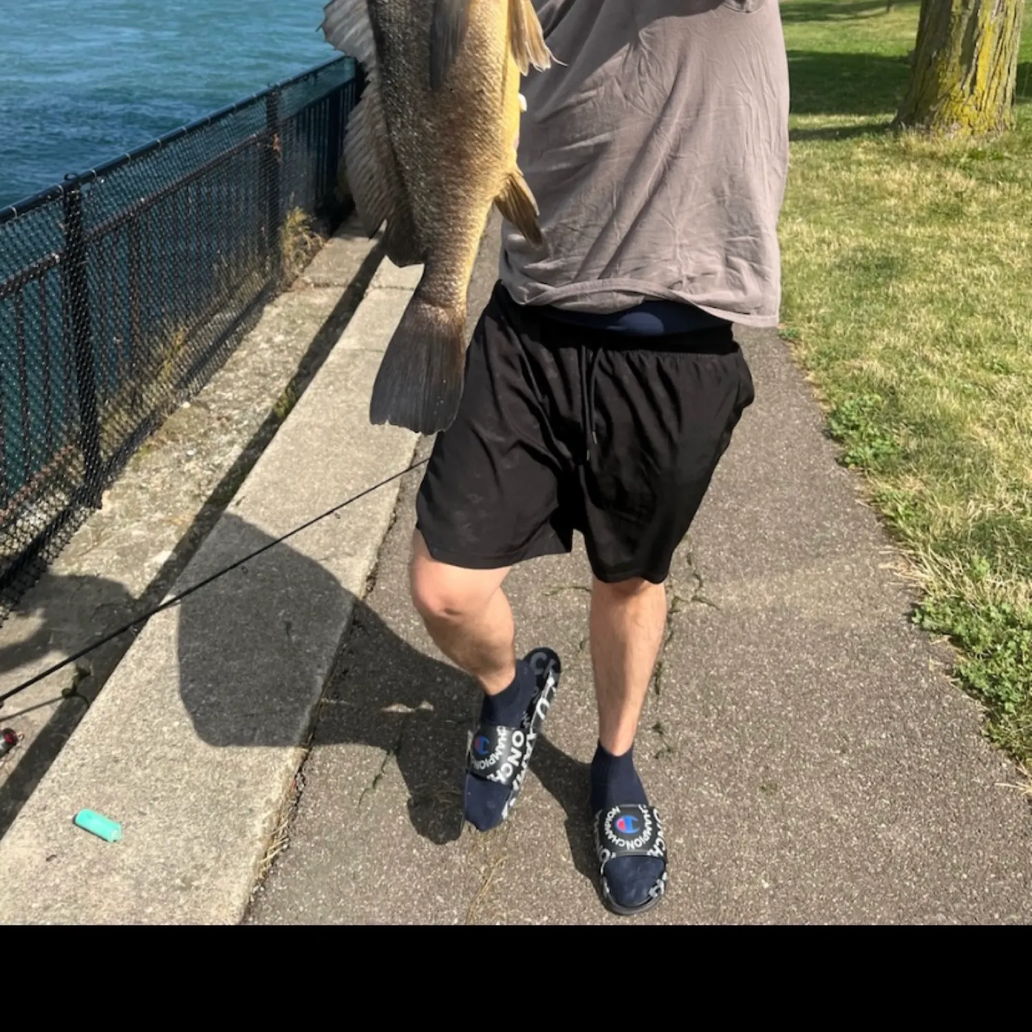 angler catch