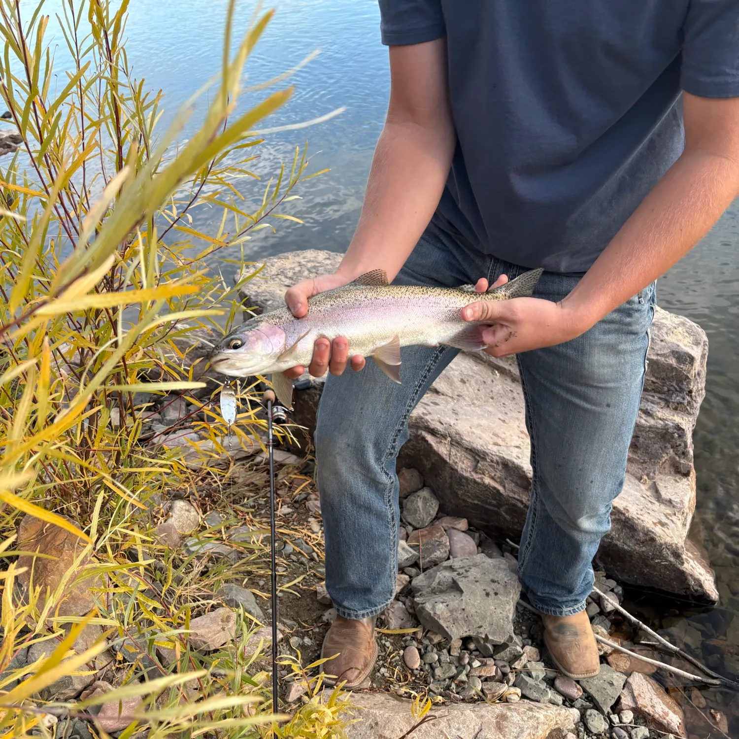 Fish caught on Fishbrain
