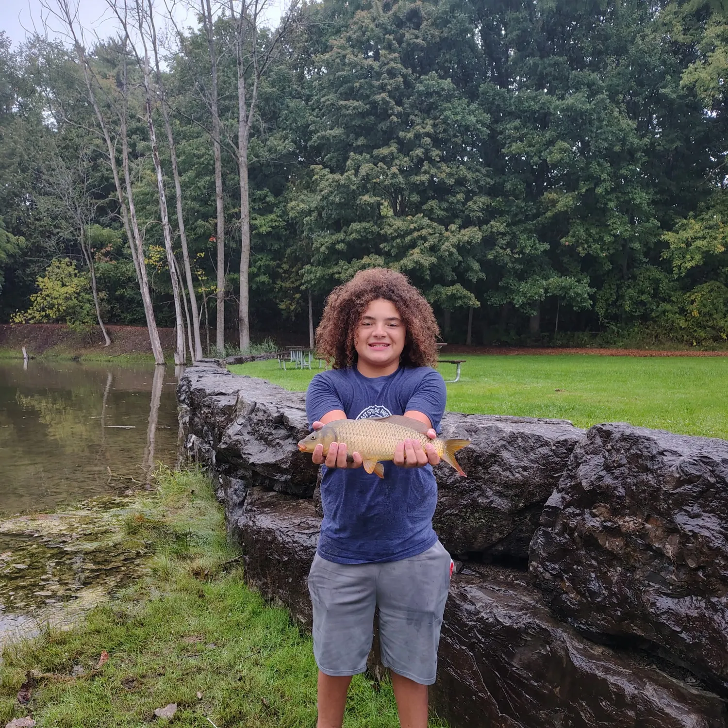 Common carp caught on Fishbrain