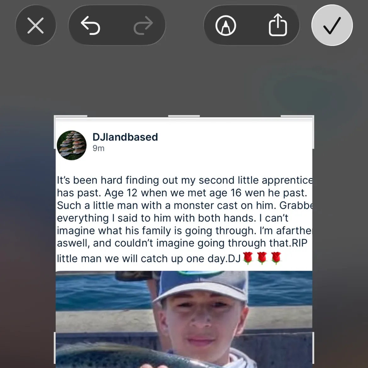 recently logged catches