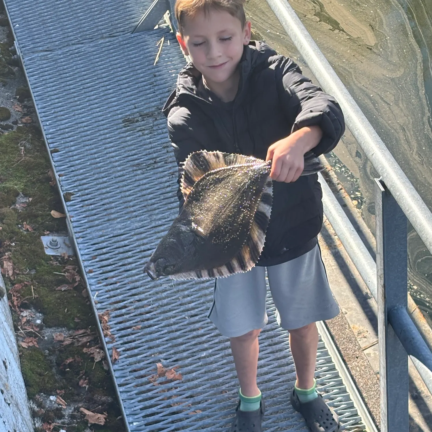 The most recent Starry flounder catches on Fishbrain