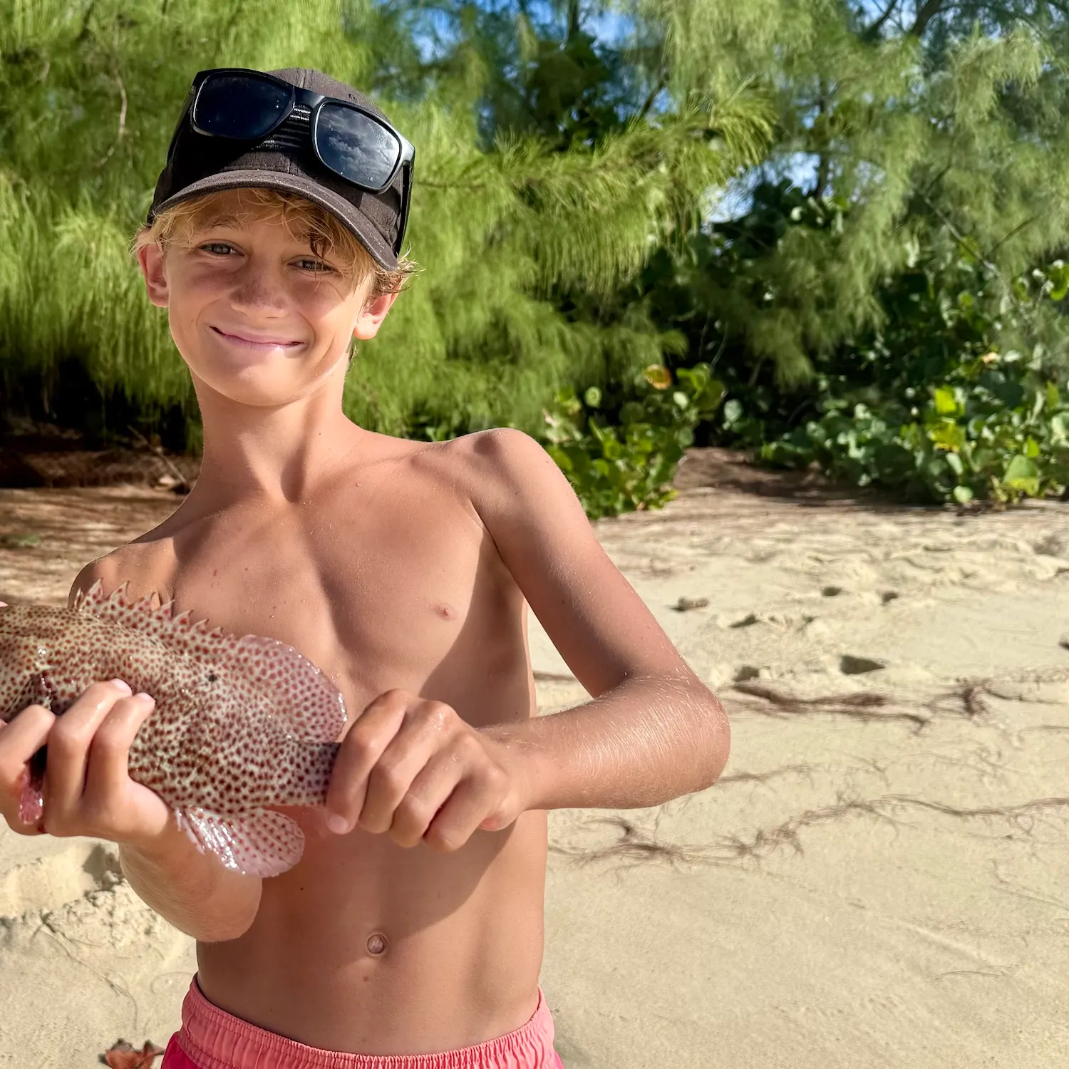 Greasy grouper caught on Fishbrain