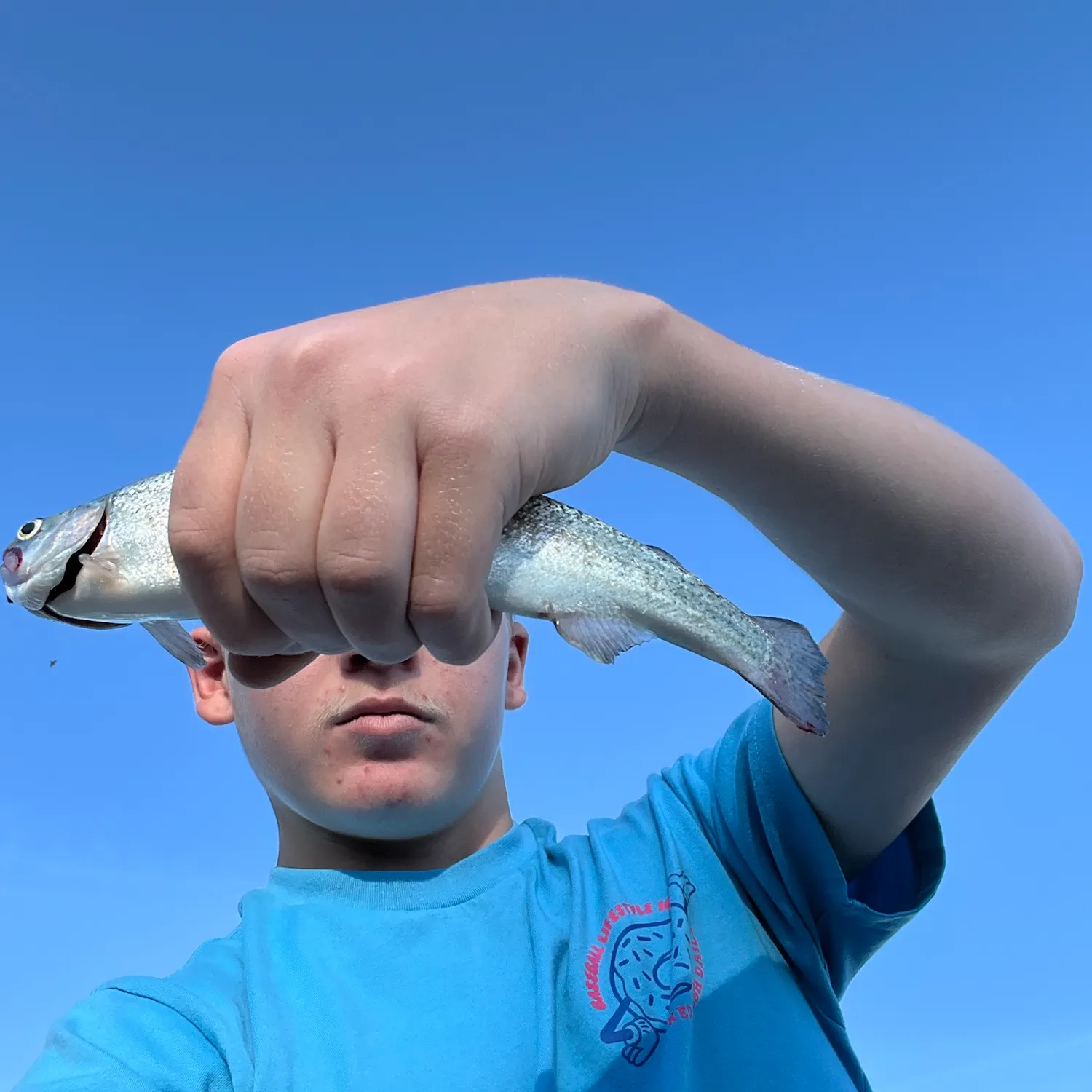 Rainbow trout caught on Fishbrain