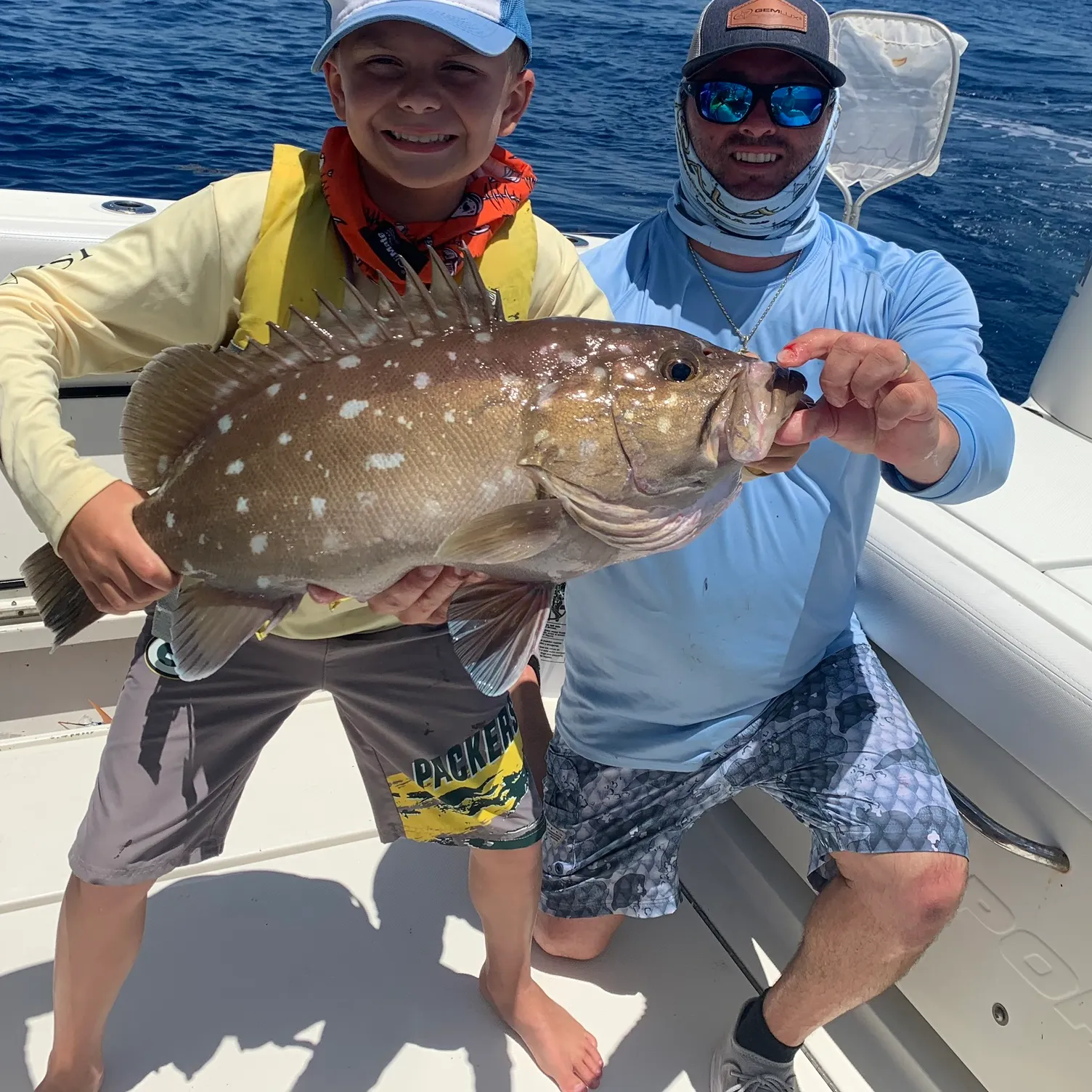 The most recent Snowy grouper catches on Fishbrain