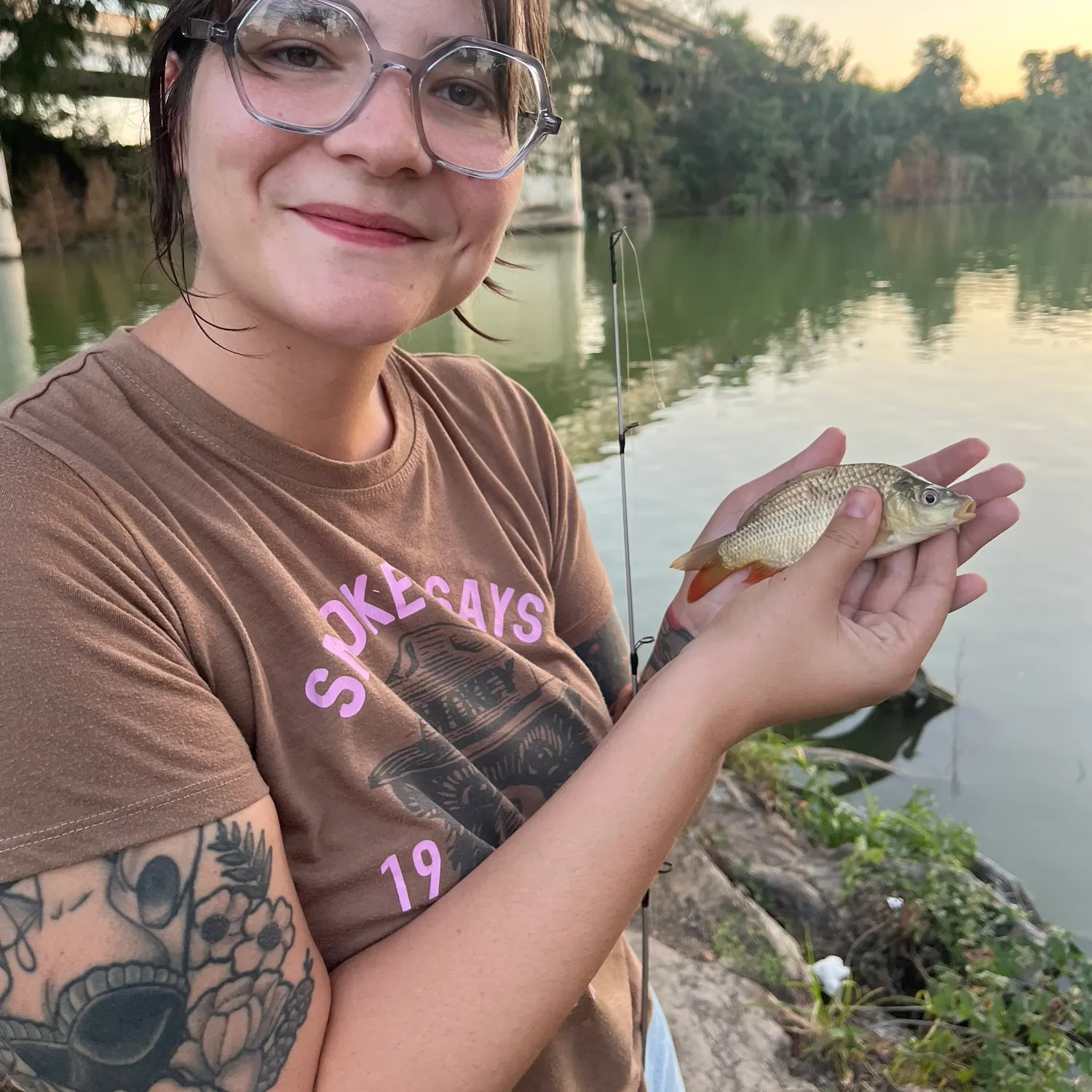 Common carp caught on Fishbrain