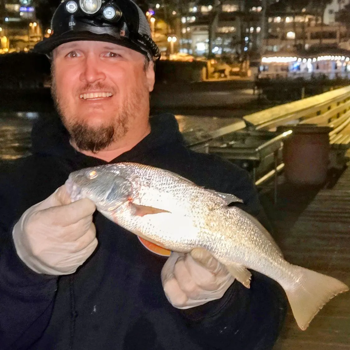 Yellowfin croaker caught on Fishbrain
