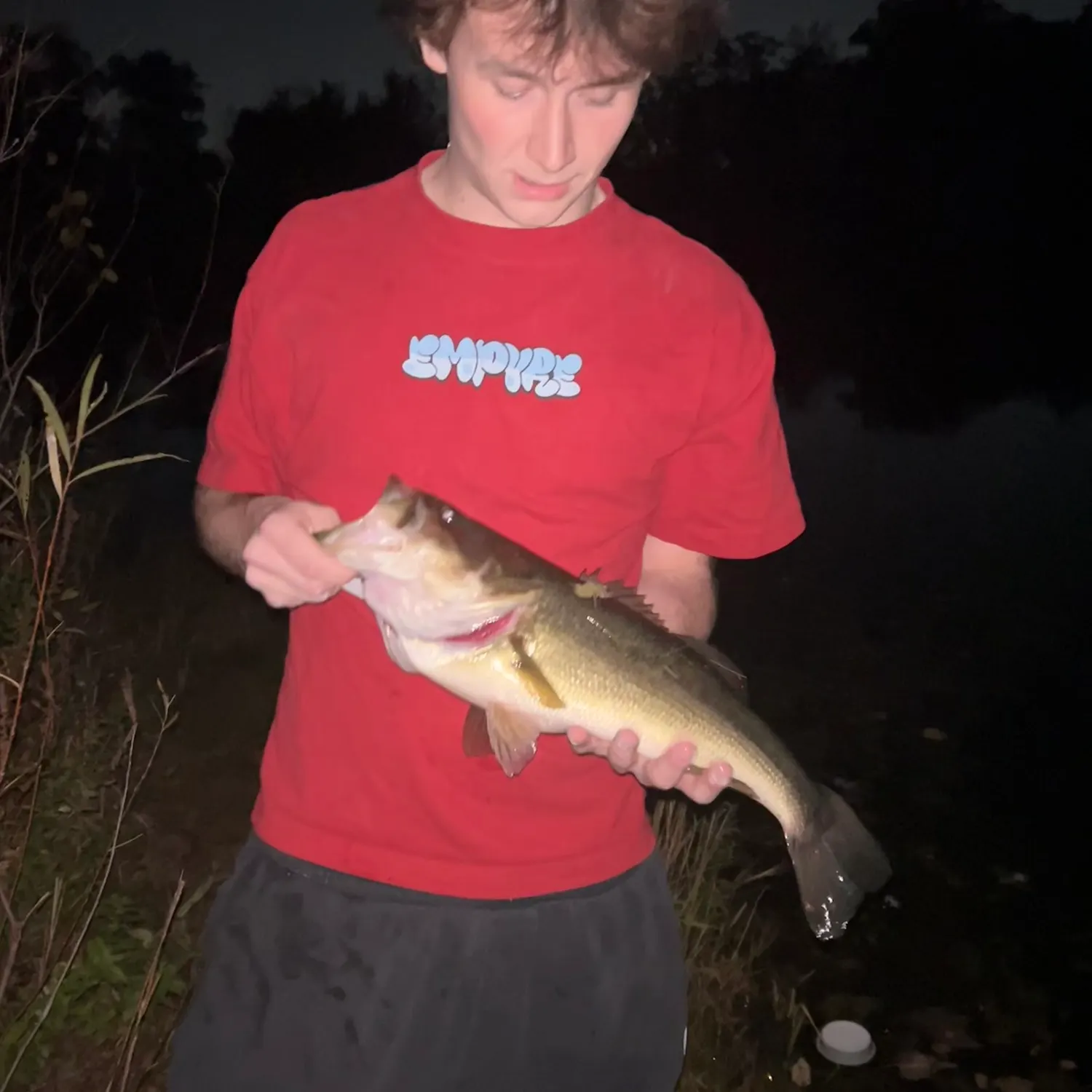 Largemouth bass caught on Fishbrain