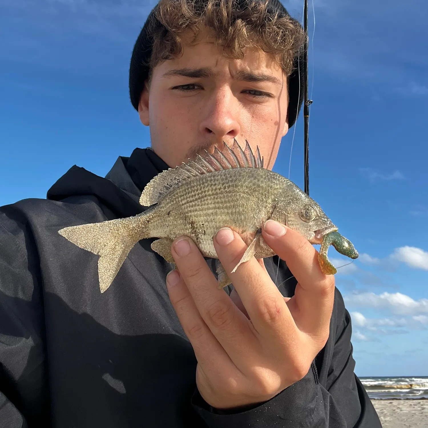 The most recent Southern black bream catches on Fishbrain