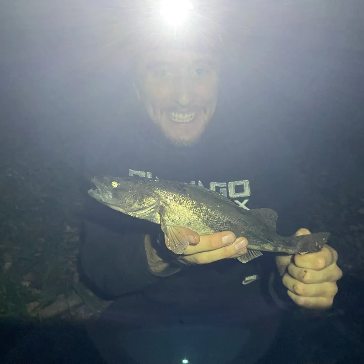 Sauger caught on Fishbrain