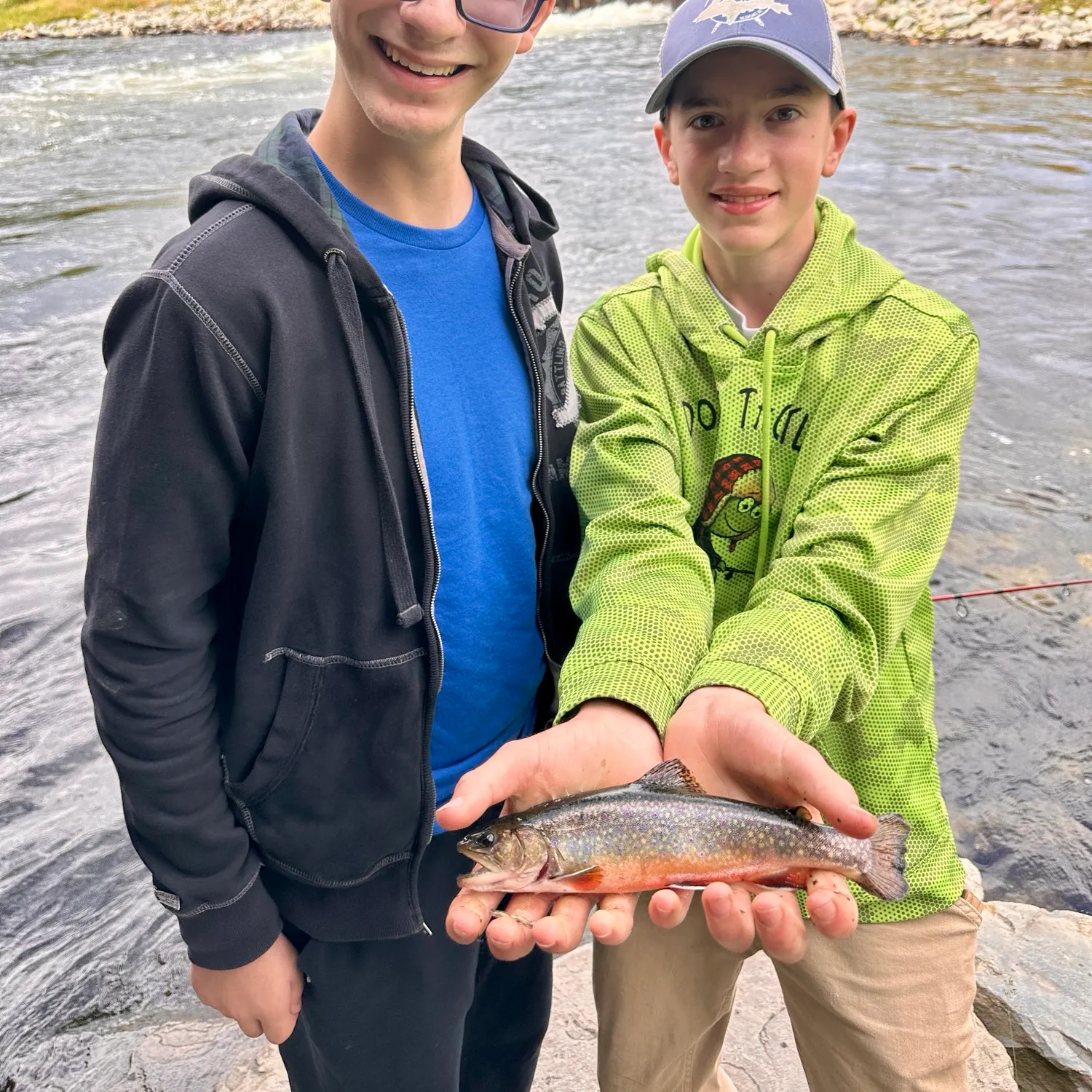 The most recent Arctic char catches on Fishbrain
