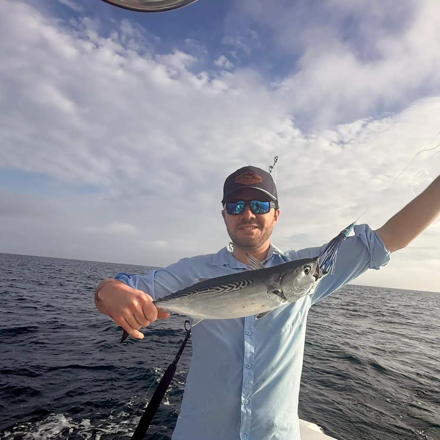 The most recent Little tunny catches on Fishbrain