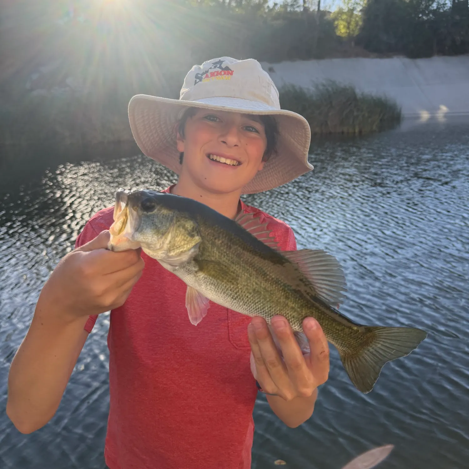Largemouth bass caught on Fishbrain