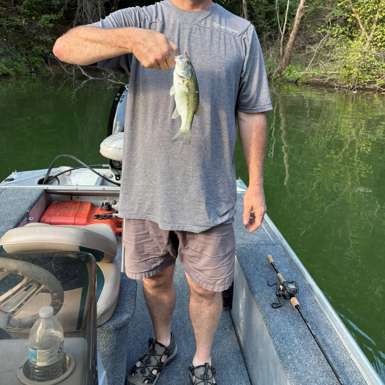 Spotted bass caught on Fishbrain