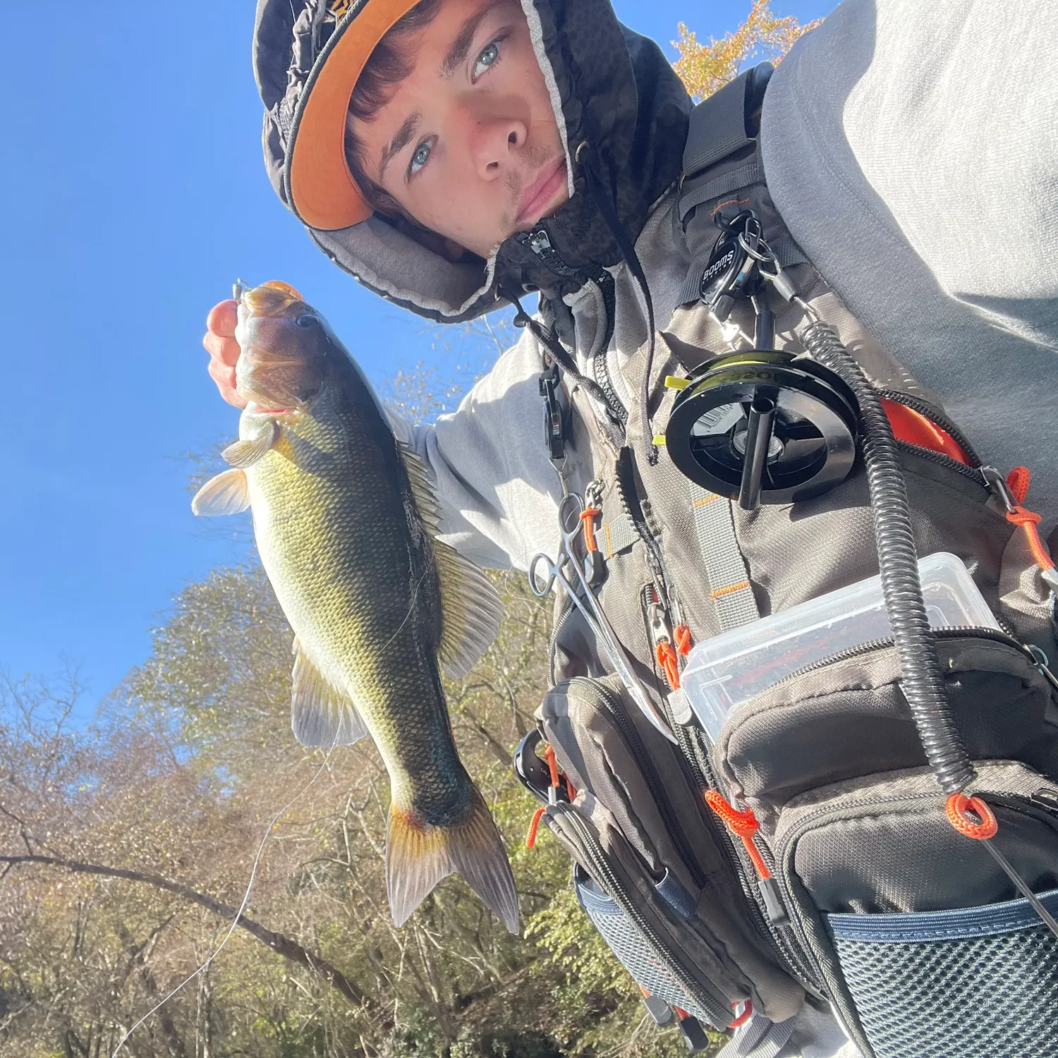 The most recent Shoal bass catches on Fishbrain