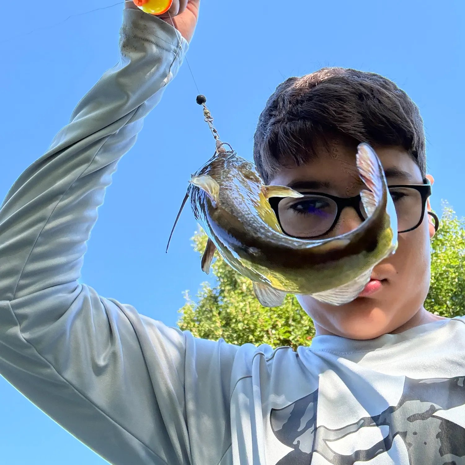Black bullhead caught on Fishbrain