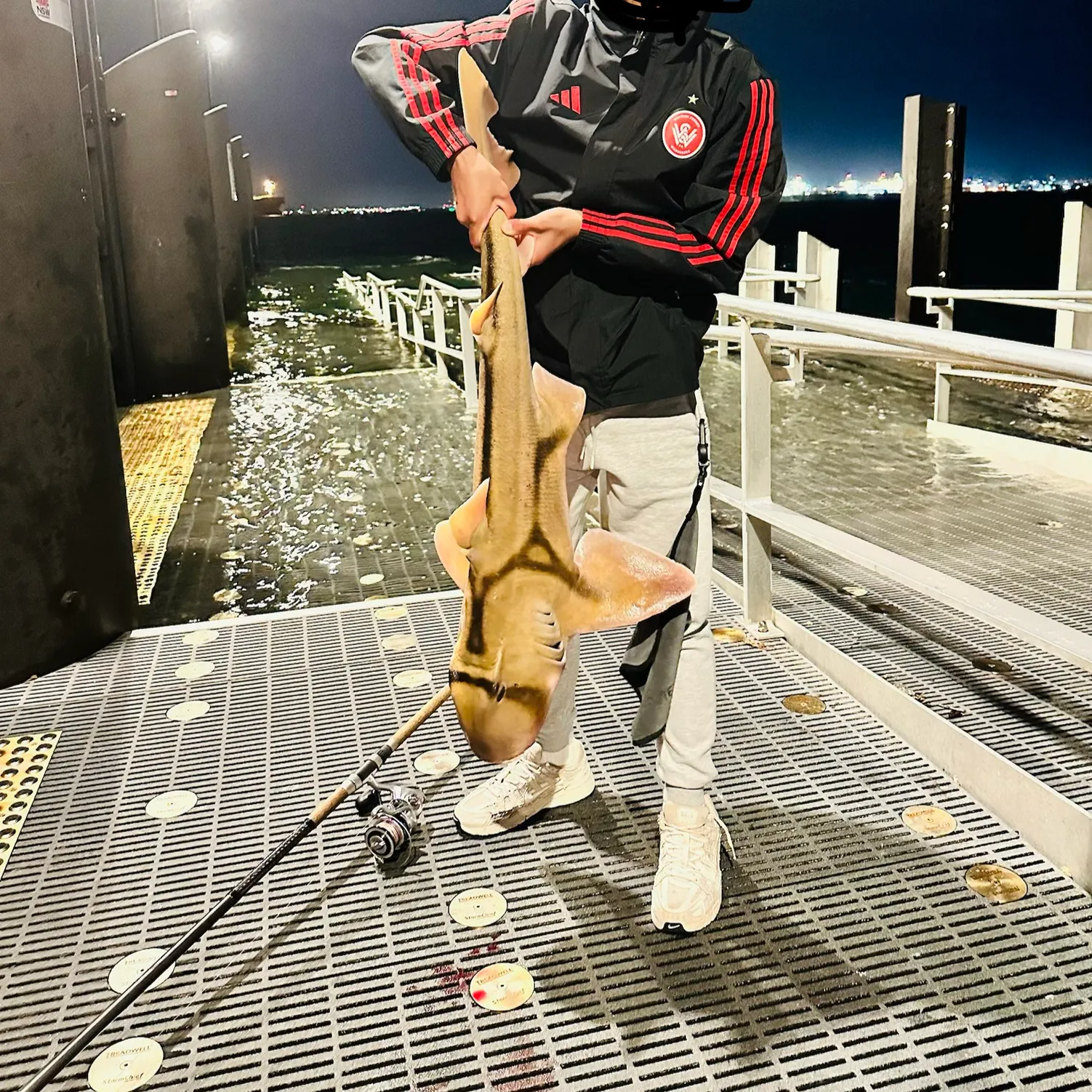 The most recent Port Jackson shark catches on Fishbrain