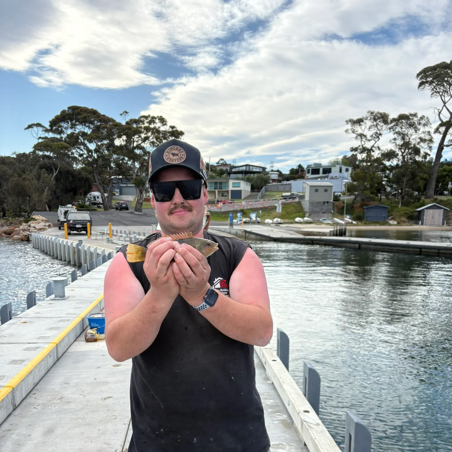 The most recent Saddle wrasse catches on Fishbrain