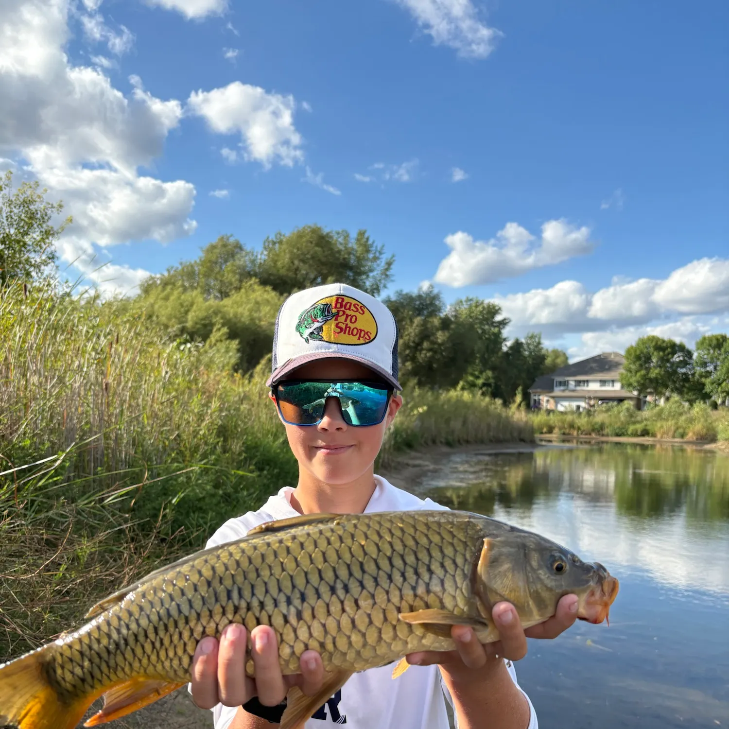 Common carp caught on Fishbrain