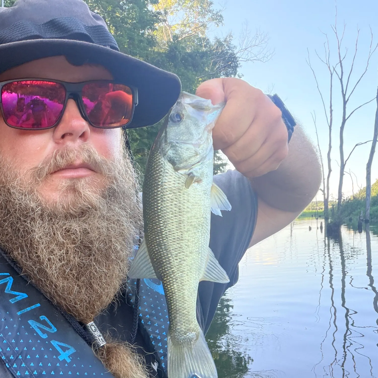 Largemouth bass caught on Fishbrain