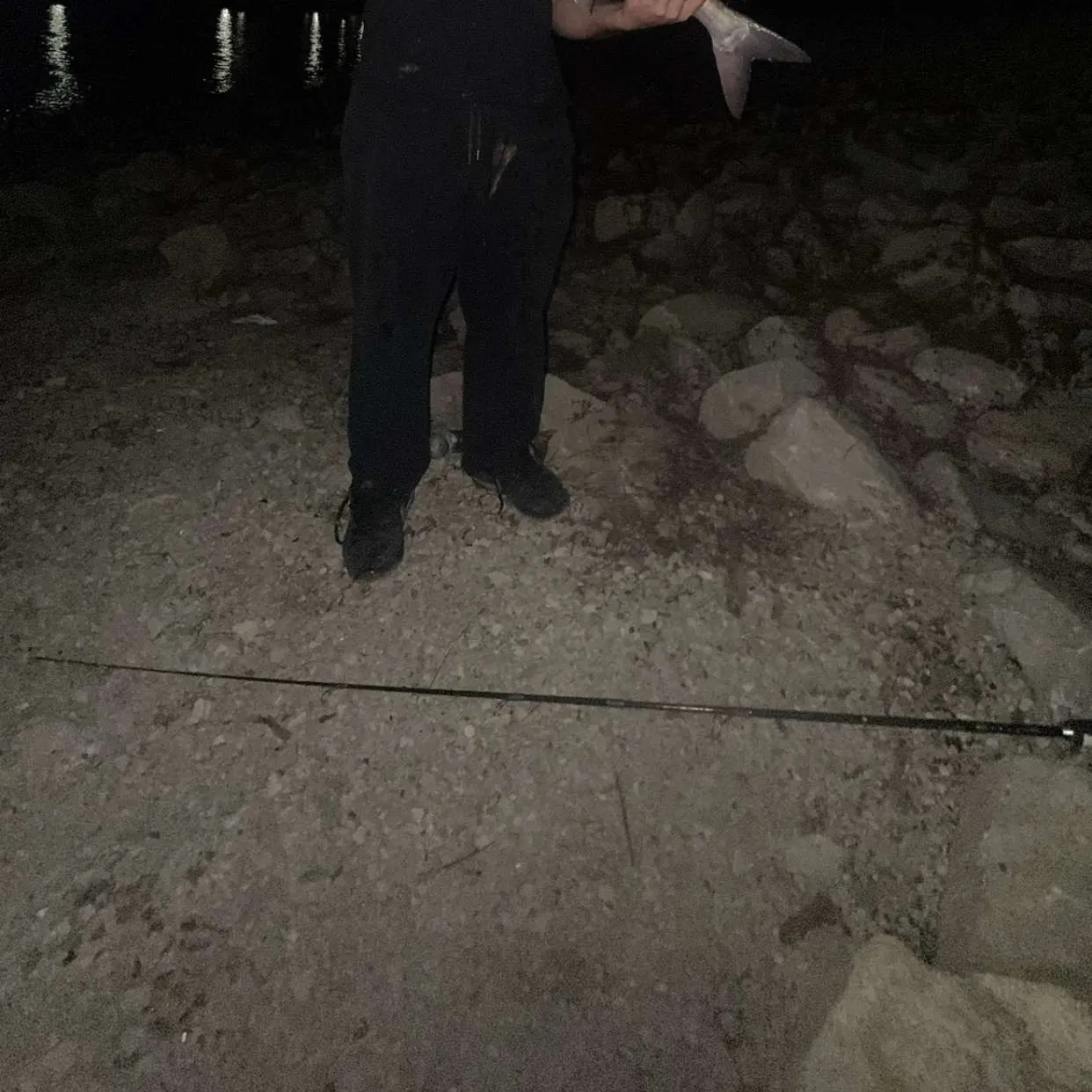 The most recent Silver carp catches on Fishbrain