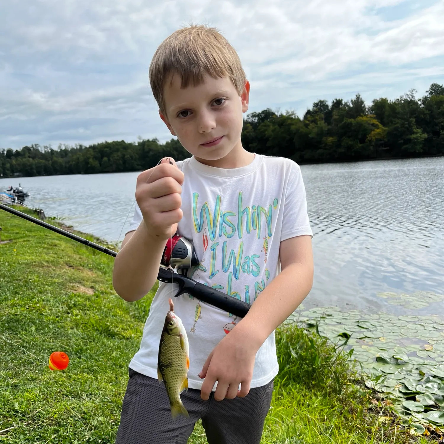 The most recent Golden shiner catches on Fishbrain