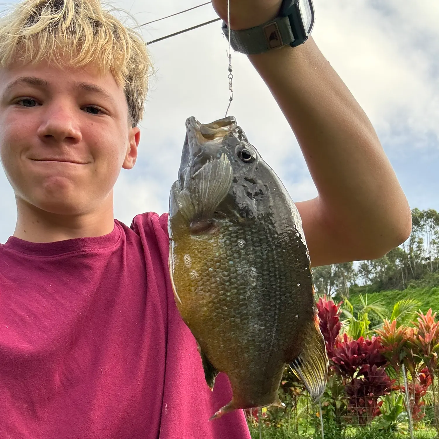 recently logged catches