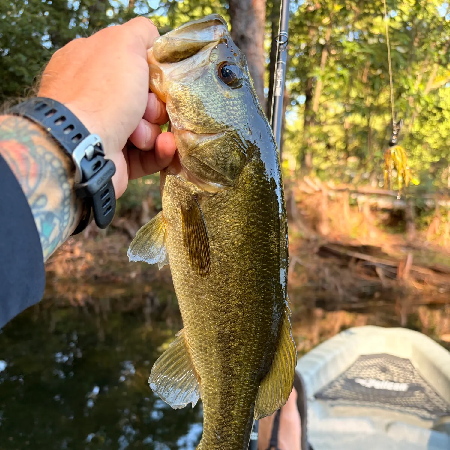 catch