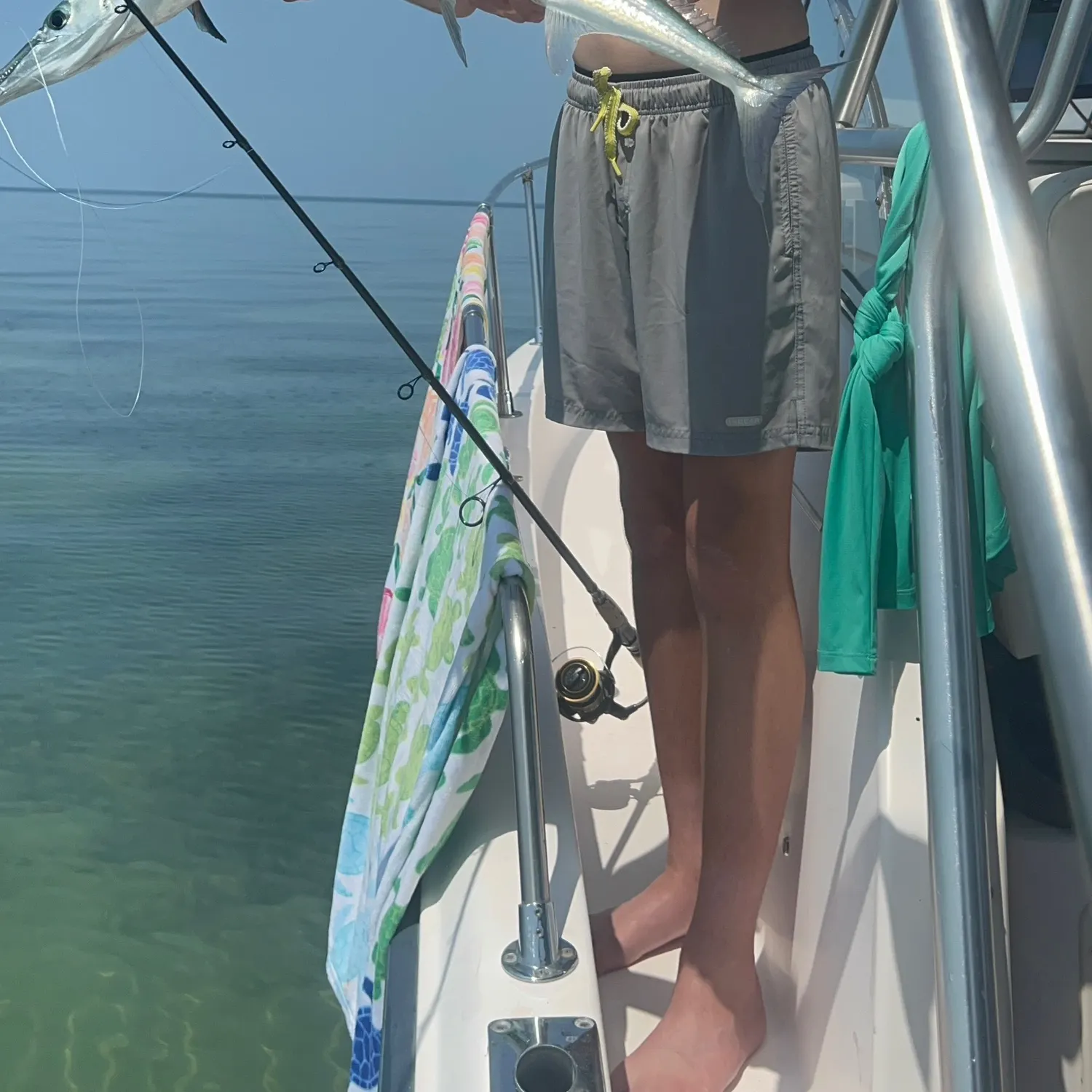 The most recent Flat needlefish catches on Fishbrain