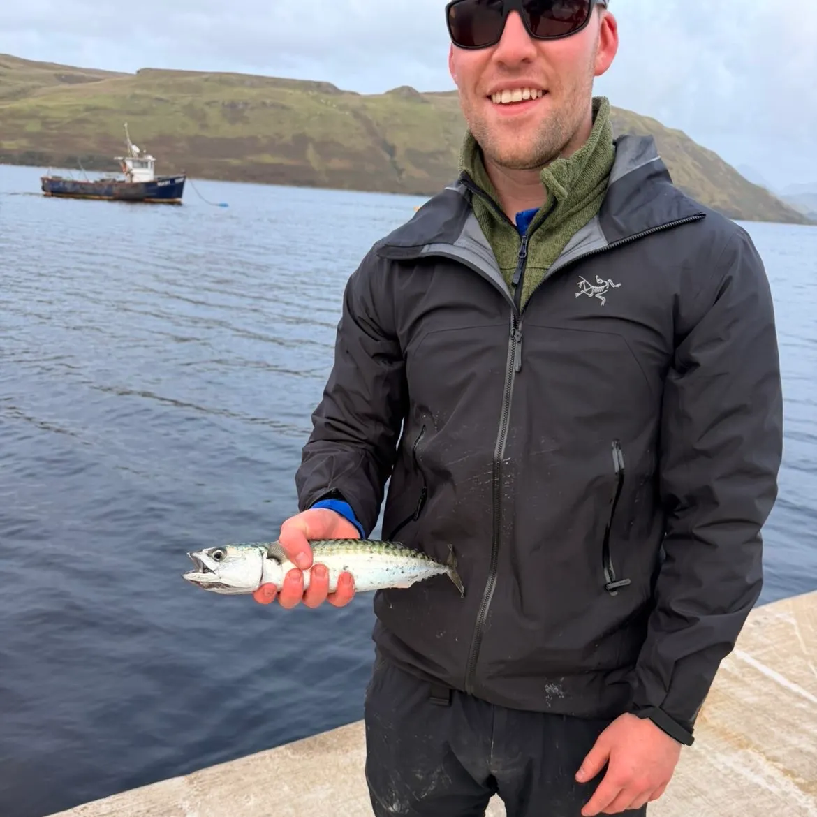 Atlantic mackerel caught on Fishbrain