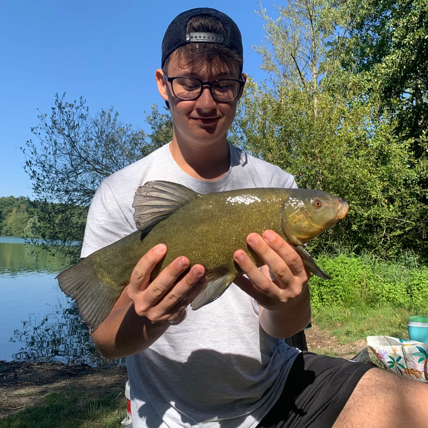 Tench caught on Fishbrain