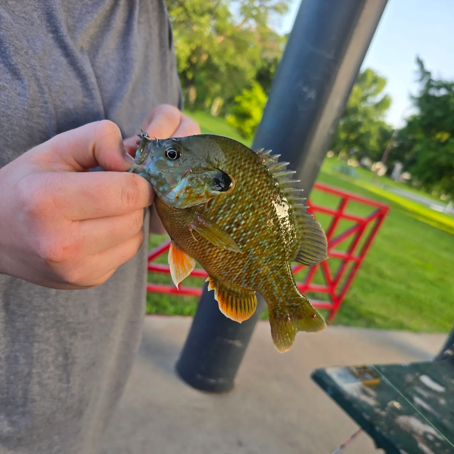 catch