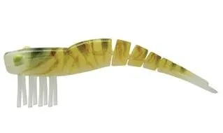 Live Shrimp