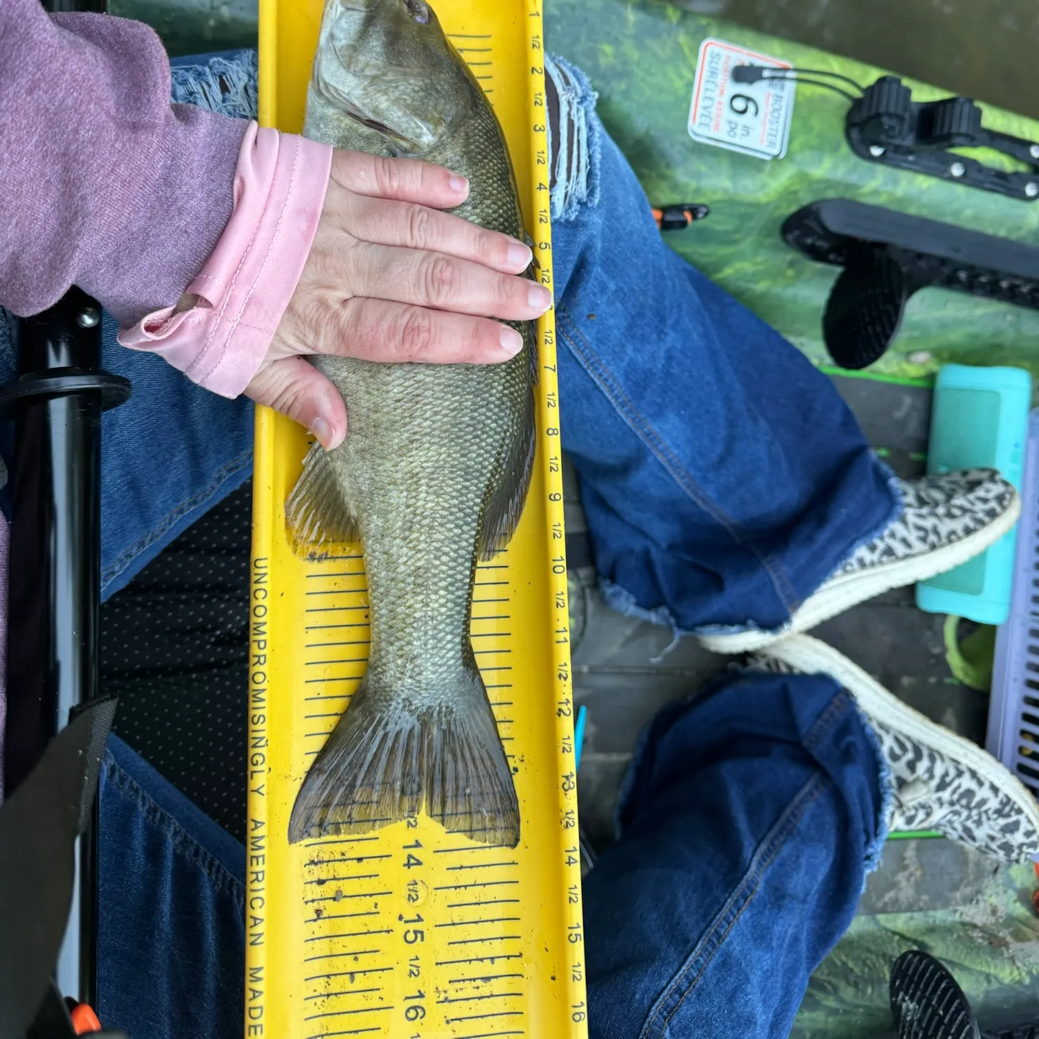 Smallmouth bass caught on Fishbrain