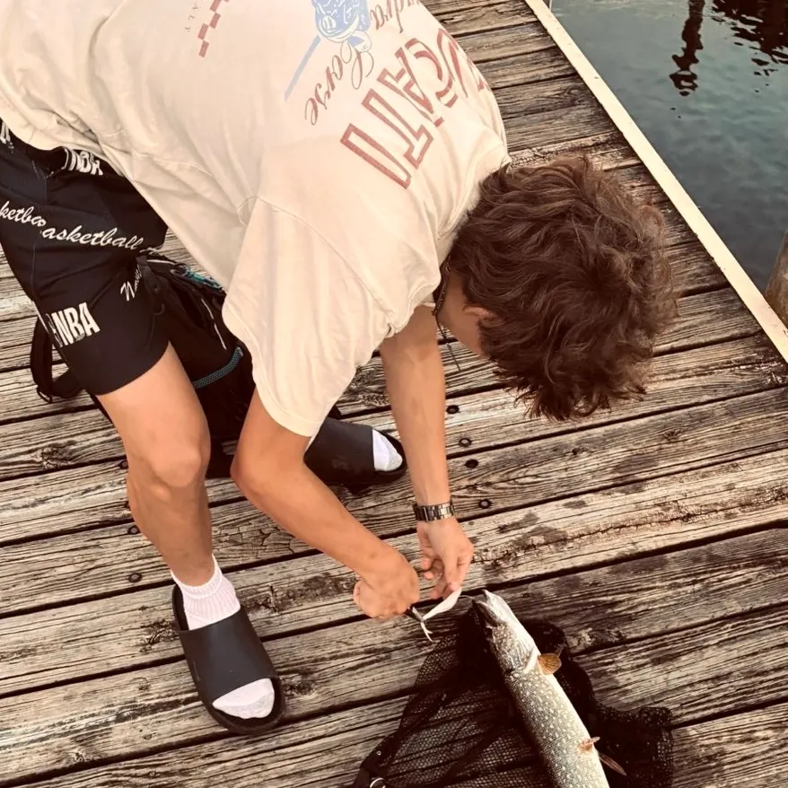 Northern pike caught on Fishbrain