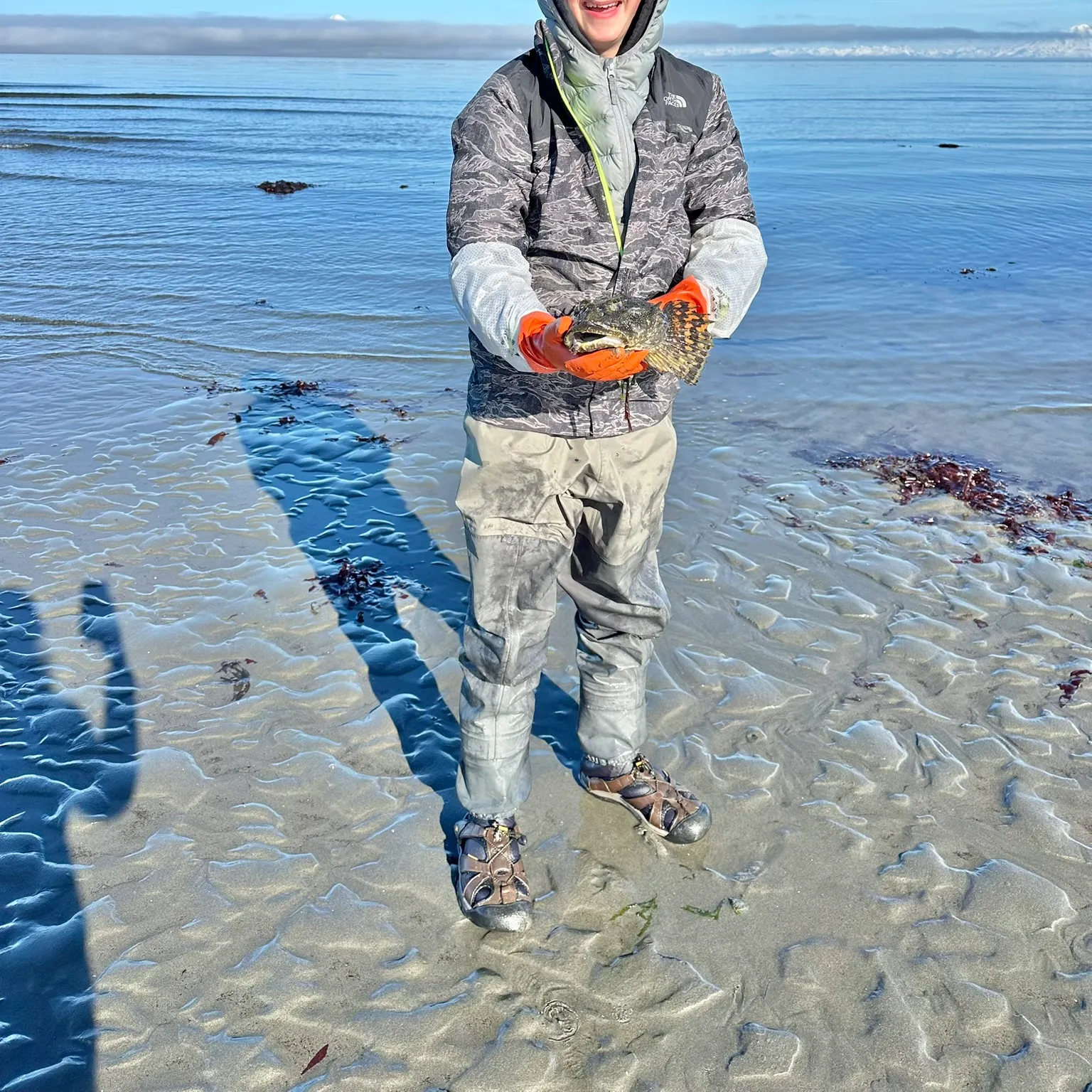The most recent Spinyhead sculpin catches on Fishbrain