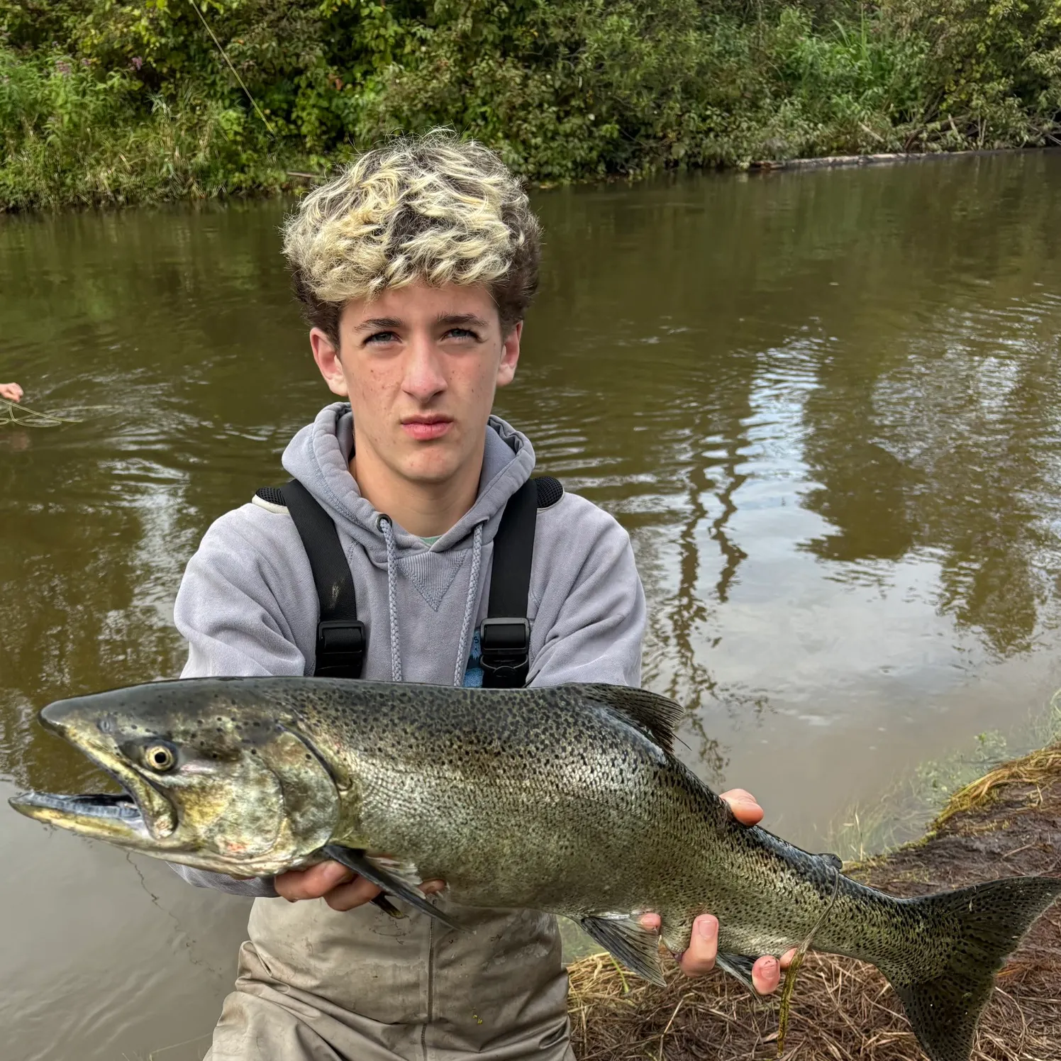 Chinook salmon caught on Fishbrain