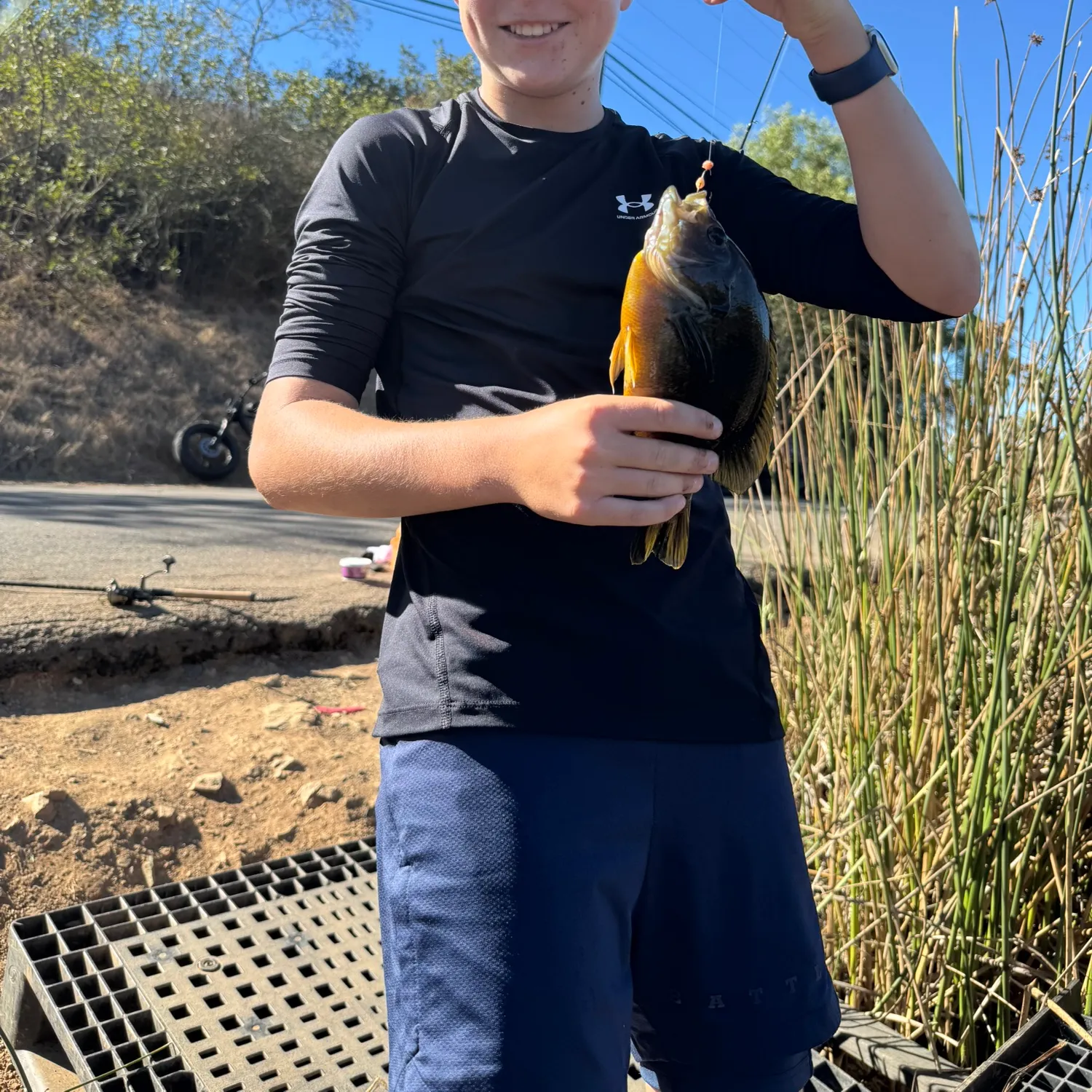 Small-scaled pacu caught on Fishbrain