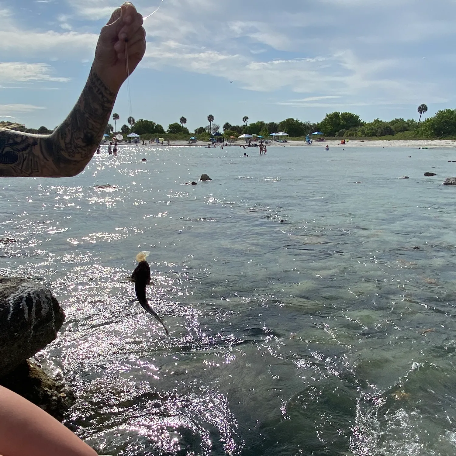 most liked catch image