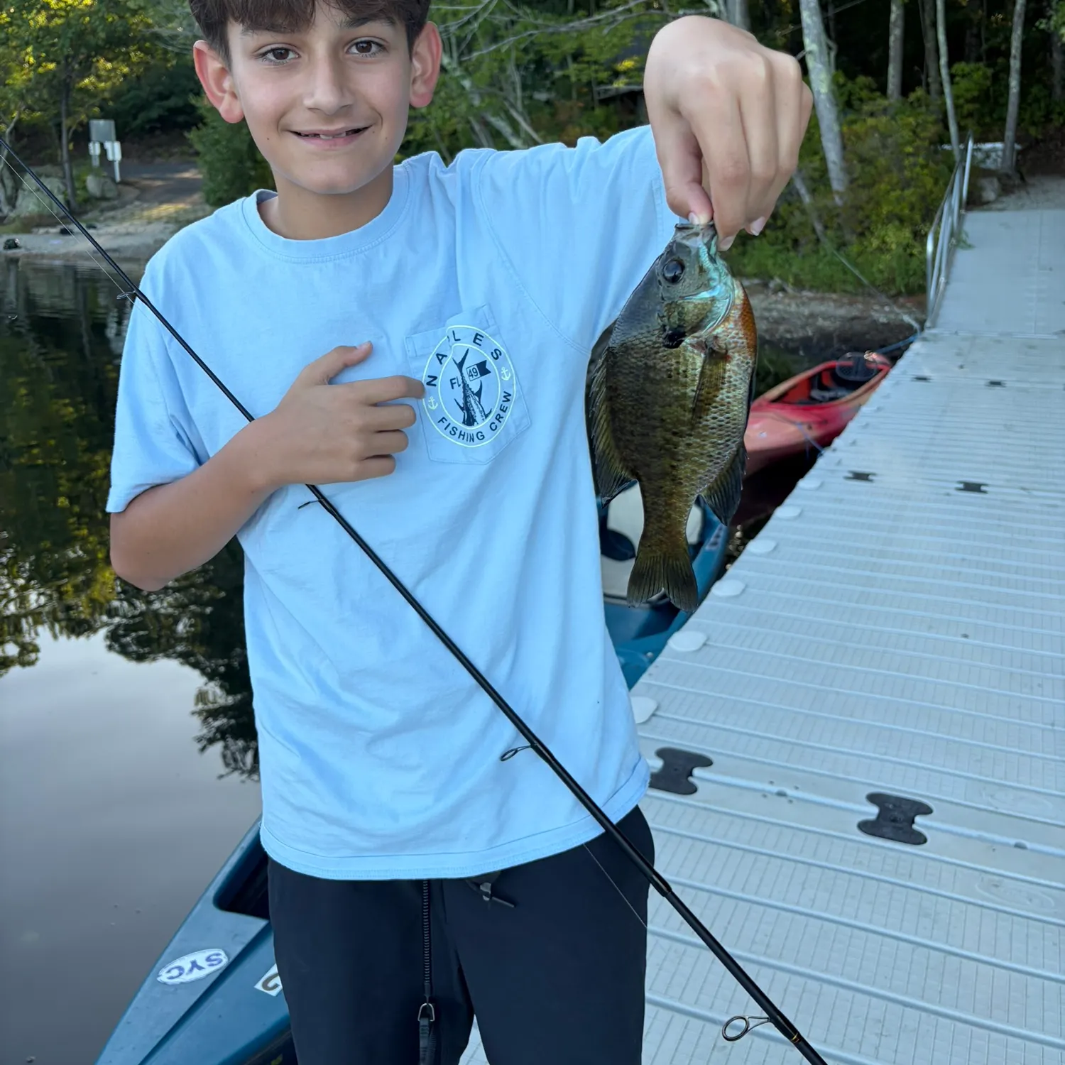 Bluegill caught on Fishbrain