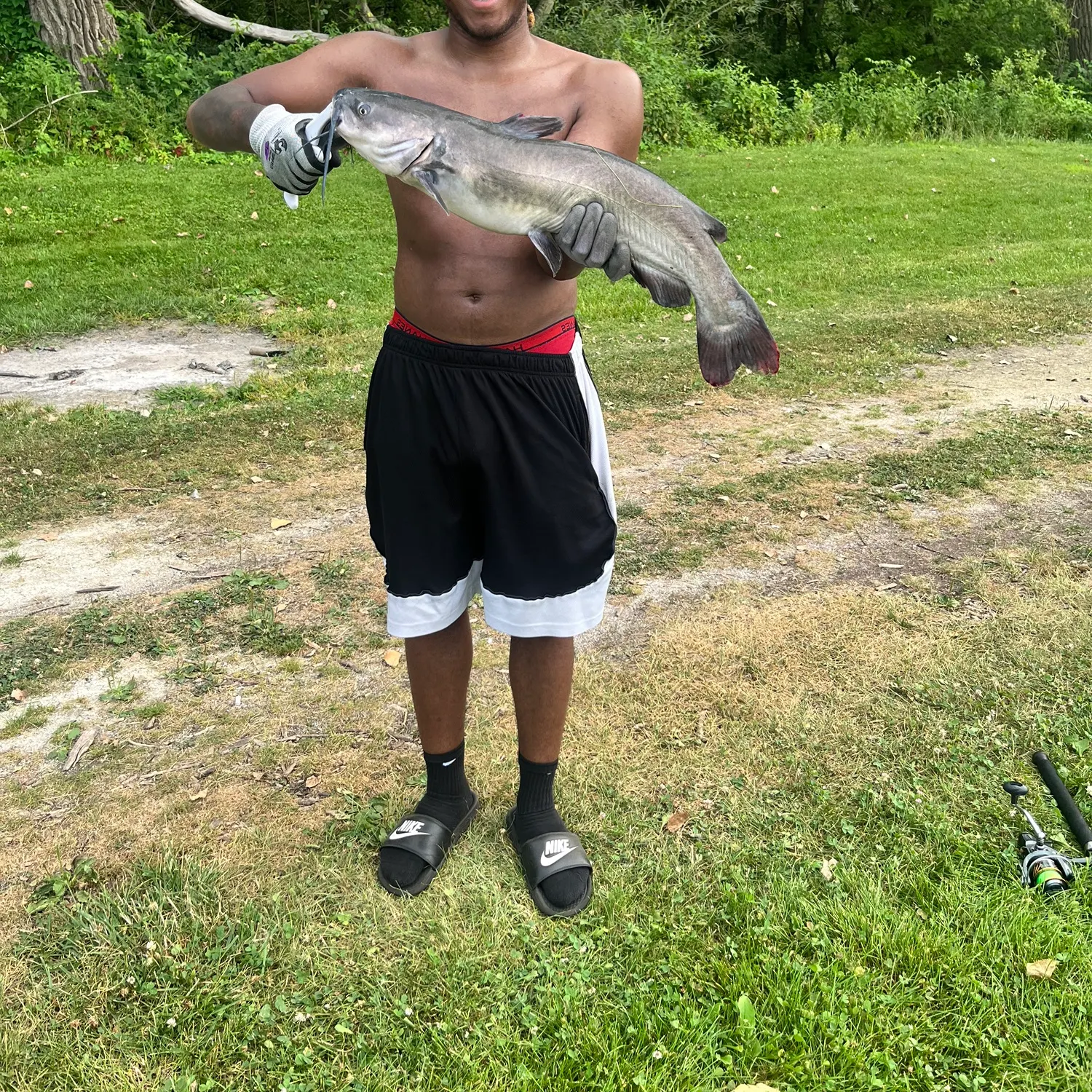 Channel catfish caught on Fishbrain