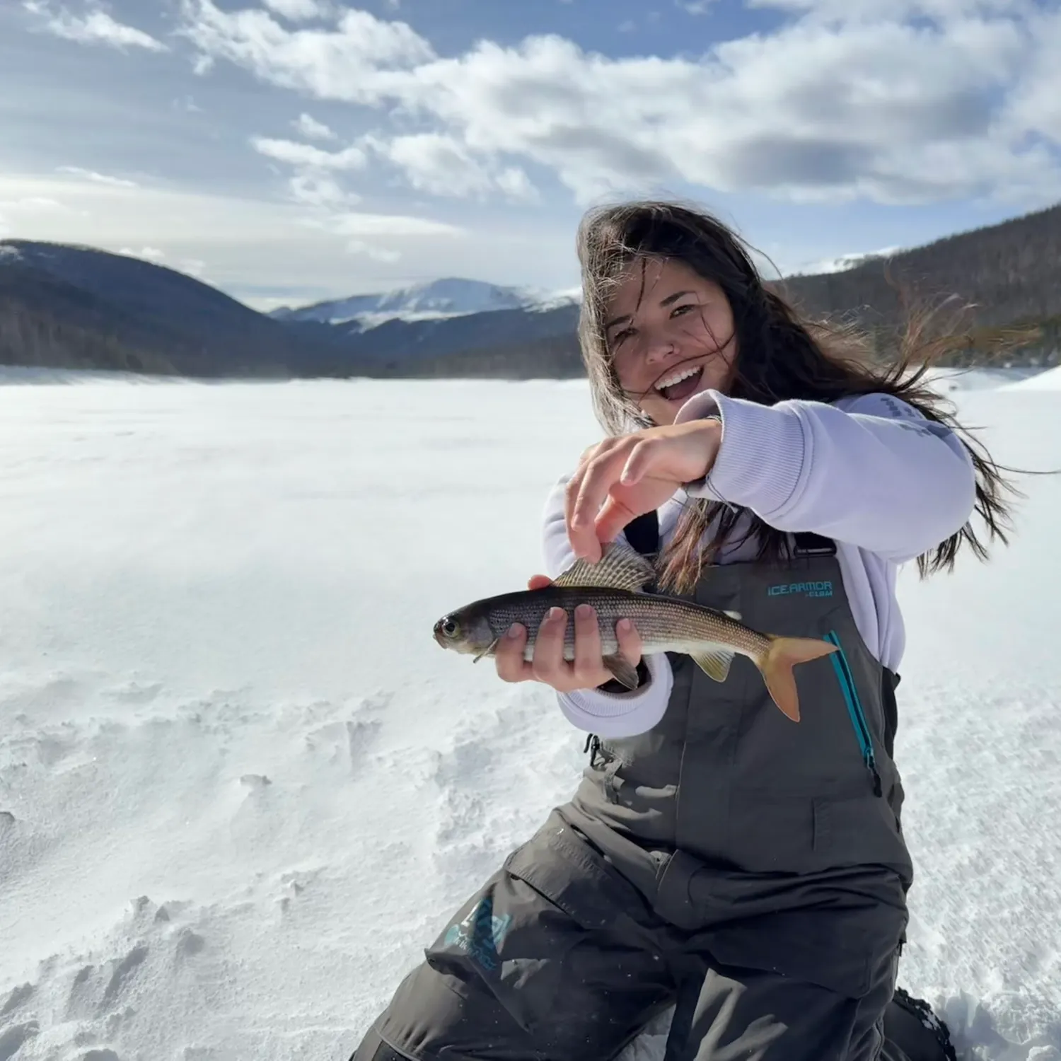 The most recent Arctic grayling catches on Fishbrain