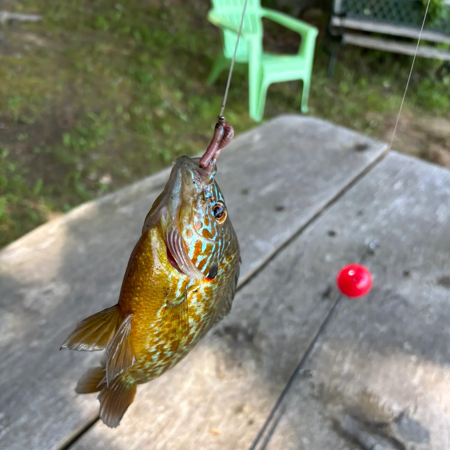 catch