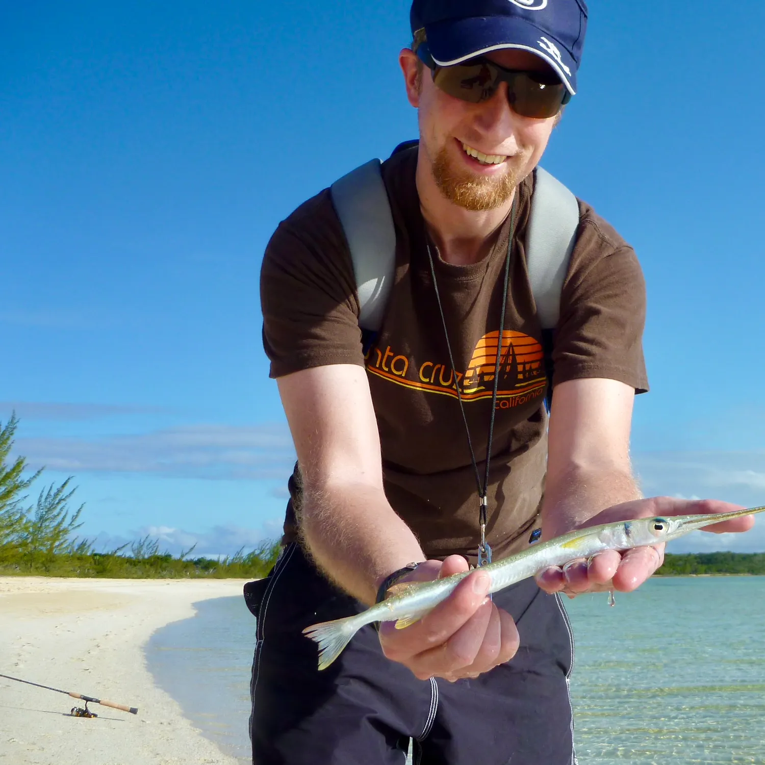 The most recent Redfin needlefish catches on Fishbrain