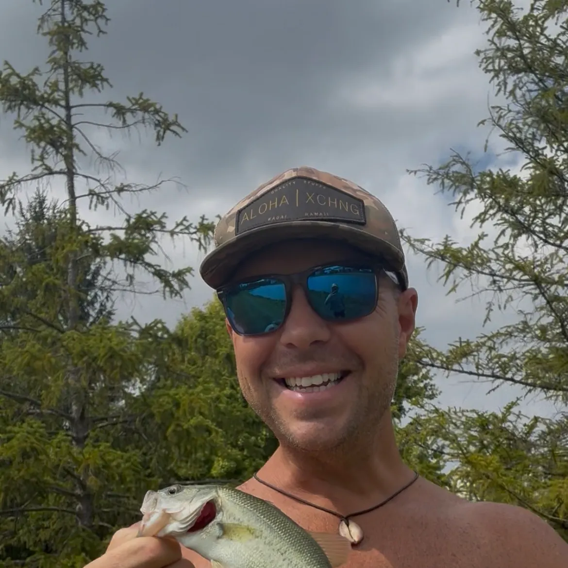 Largemouth bass caught on Fishbrain